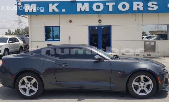 Buy Import Chevrolet Camaro Other Car in Import - Dubai in Bumthang Buy Import Chevrolet Camaro Other Car in Import - Dubai in Bumthang
