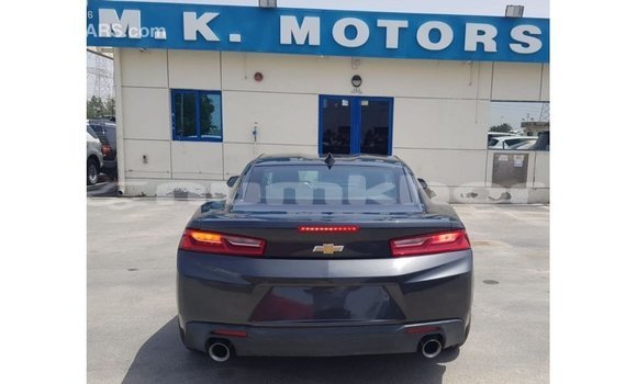 Buy Import Chevrolet Camaro Other Car in Import - Dubai in Bumthang Buy Import Chevrolet Camaro Other Car in Import - Dubai in Bumthang