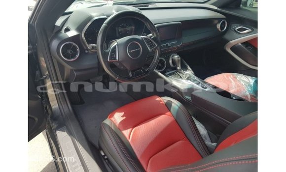 Buy Import Chevrolet Camaro Other Car in Import - Dubai in Bumthang Buy Import Chevrolet Camaro Other Car in Import - Dubai in Bumthang