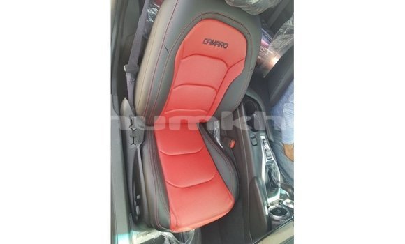 Buy Import Chevrolet Camaro Other Car in Import - Dubai in Bumthang Buy Import Chevrolet Camaro Other Car in Import - Dubai in Bumthang