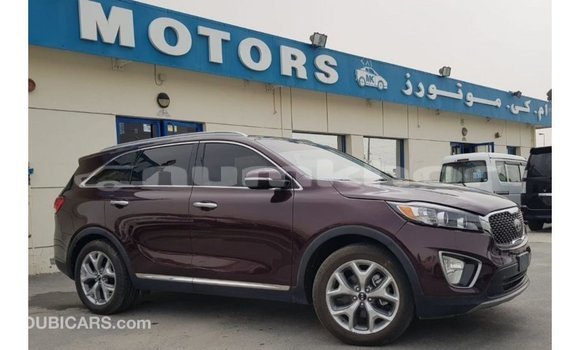 Buy Import Kia Sorento Red Car in Import - Dubai in Bumthang Buy Import Kia Sorento Red Car in Import - Dubai in Bumthang
