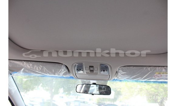 Buy Import Kia Sportage Black Car in Import - Dubai in Bumthang