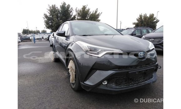 Buy Import Toyota C-HR Other Car in Import - Dubai in Bumthang Buy Import Toyota C-HR Other Car in Import - Dubai in Bumthang