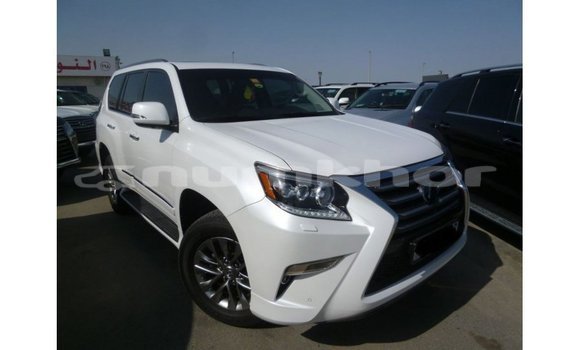 Buy Import Lexus GX White Car in Import - Dubai in Bumthang Buy Import Lexus GX White Car in Import - Dubai in Bumthang