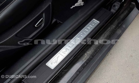 Buy Import Ford Mustang Black Car in Import - Dubai in Bumthang Buy Import Ford Mustang Black Car in Import - Dubai in Bumthang