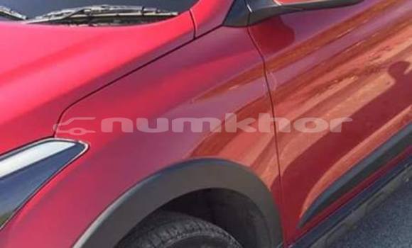 Buy Used Hyundai i20 Red Car in Thimphu in Timphu Buy Used Hyundai i20 Red Car in Thimphu in Timphu