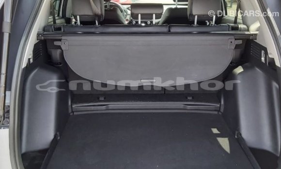 Buy Import Honda C Other Bike in Import - Dubai in Bumthang Buy Import Honda C Other Bike in Import - Dubai in Bumthang