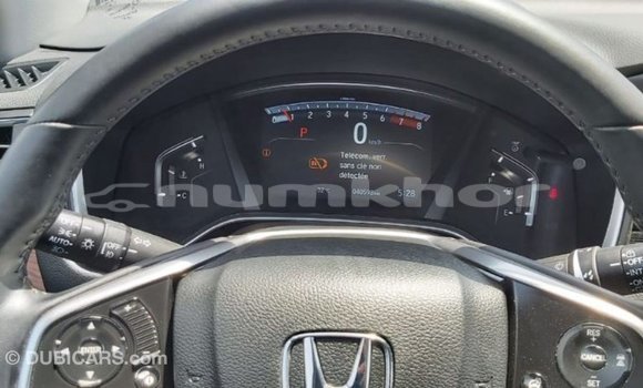Buy Import Honda C Other Bike in Import - Dubai in Bumthang Buy Import Honda C Other Bike in Import - Dubai in Bumthang