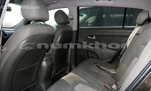 Buy Import Kia Sportage Brown Car in Import - Dubai in Bumthang Buy Import Kia Sportage Brown Car in Import - Dubai in Bumthang