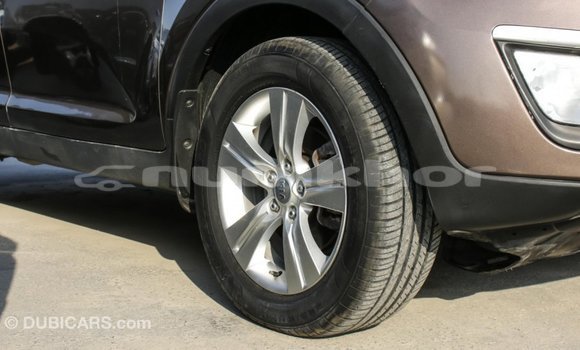 Buy Import Kia Sportage Brown Car in Import - Dubai in Bumthang Buy Import Kia Sportage Brown Car in Import - Dubai in Bumthang