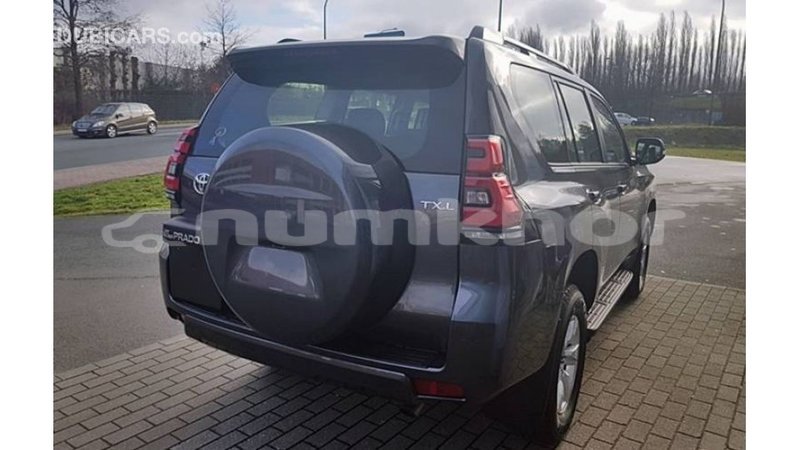 Big with watermark toyota prado bumthang import dubai 3621