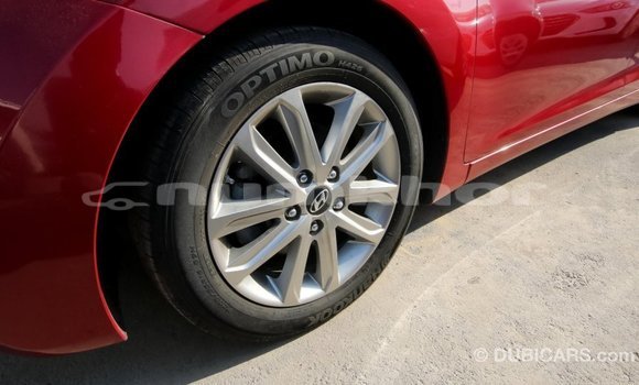 Buy Import Hyundai Elantra Red Car in Import - Dubai in Bumthang Buy Import Hyundai Elantra Red Car in Import - Dubai in Bumthang