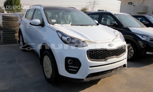 Buy Import Kia Sportage White Car in Import - Dubai in Bumthang Buy Import Kia Sportage White Car in Import - Dubai in Bumthang