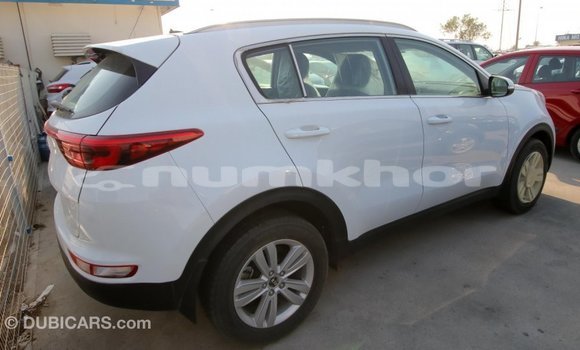 Buy Import Kia Sportage White Car in Import - Dubai in Bumthang Buy Import Kia Sportage White Car in Import - Dubai in Bumthang