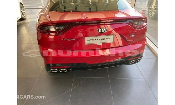 Buy Import Kia Stinger Red Car in Import - Dubai in Bumthang Buy Import Kia Stinger Red Car in Import - Dubai in Bumthang