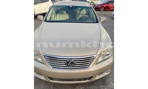 Buy Import Lexus LS Other Car in Import - Dubai in Bumthang Buy Import Lexus LS Other Car in Import - Dubai in Bumthang
