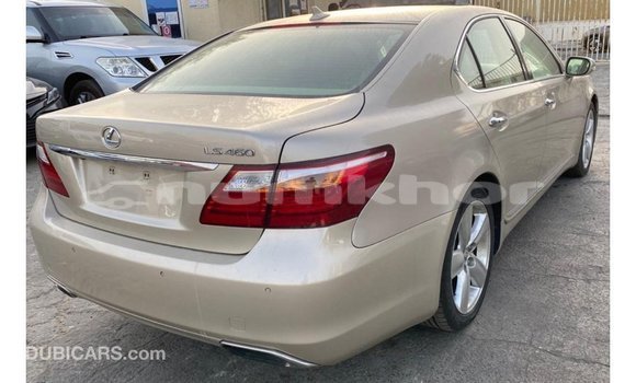 Buy Import Lexus LS Other Car in Import - Dubai in Bumthang Buy Import Lexus LS Other Car in Import - Dubai in Bumthang
