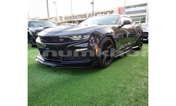 Buy Import Chevrolet Camaro Black Car in Import - Dubai in Bumthang Buy Import Chevrolet Camaro Black Car in Import - Dubai in Bumthang