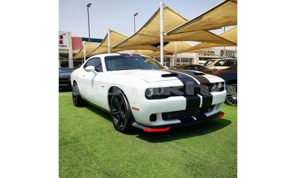 Buy Import Dodge Challenger White Car in Import - Dubai in Bumthang