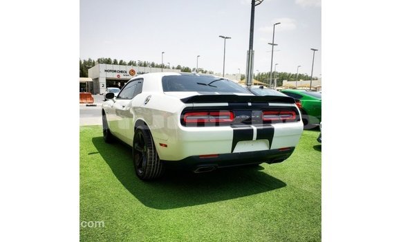 Buy Import Dodge Challenger White Car in Import - Dubai in Bumthang Buy Import Dodge Challenger White Car in Import - Dubai in Bumthang
