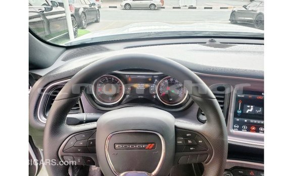 Buy Import Dodge Challenger White Car in Import - Dubai in Bumthang Buy Import Dodge Challenger White Car in Import - Dubai in Bumthang