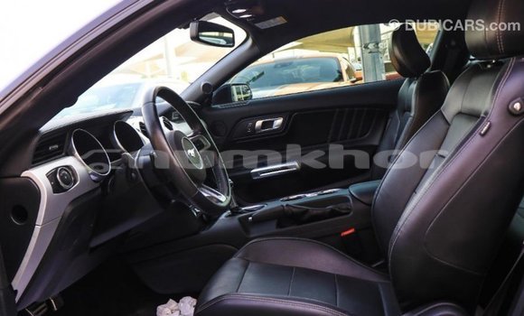 Buy Import Ford Mustang Black Car in Import - Dubai in Bumthang Buy Import Ford Mustang Black Car in Import - Dubai in Bumthang