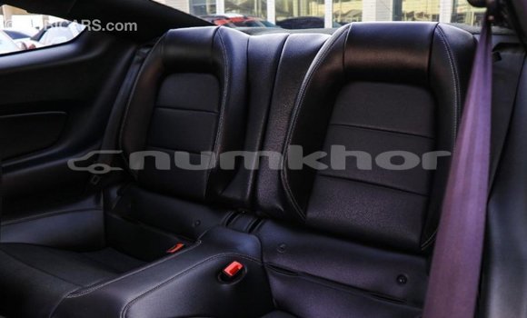 Buy Import Ford Mustang Black Car in Import - Dubai in Bumthang Buy Import Ford Mustang Black Car in Import - Dubai in Bumthang