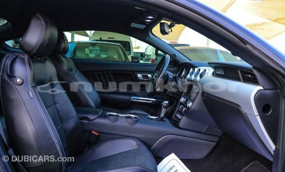 Buy Import Ford Mustang Black Car in Import - Dubai in Bumthang Buy Import Ford Mustang Black Car in Import - Dubai in Bumthang