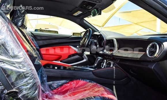 Buy Import Chevrolet Camaro Other Car in Import - Dubai in Bumthang Buy Import Chevrolet Camaro Other Car in Import - Dubai in Bumthang