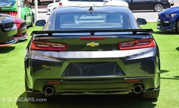 Buy Import Chevrolet Camaro Other Car in Import - Dubai in Bumthang Buy Import Chevrolet Camaro Other Car in Import - Dubai in Bumthang