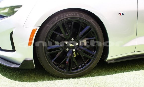 Buy Import Chevrolet Camaro Other Car in Import - Dubai in Bumthang Buy Import Chevrolet Camaro Other Car in Import - Dubai in Bumthang