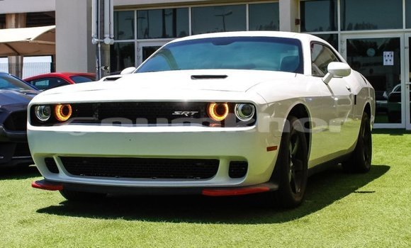 Buy Import Dodge Challenger White Car in Import - Dubai in Bumthang