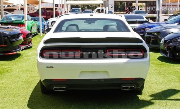Buy Import Dodge Challenger White Car in Import - Dubai in Bumthang Buy Import Dodge Challenger White Car in Import - Dubai in Bumthang