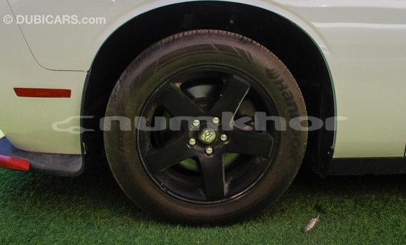 Buy Import Dodge Challenger White Car in Import - Dubai in Bumthang Buy Import Dodge Challenger White Car in Import - Dubai in Bumthang