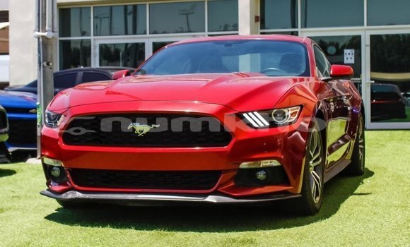 Buy Import Ford Mustang Red Car in Import - Dubai in Bumthang