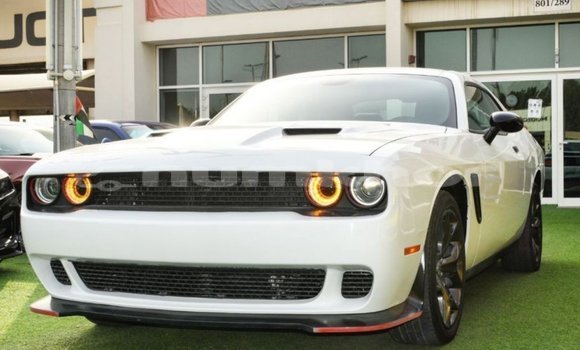 Buy Import Dodge Challenger White Car in Import - Dubai in Bumthang
