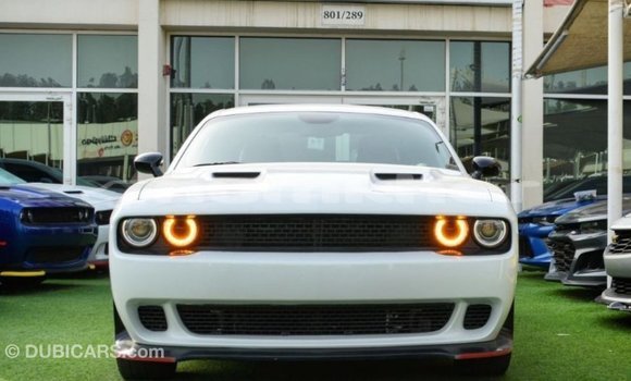 Buy Import Dodge Challenger White Car in Import - Dubai in Bumthang Buy Import Dodge Challenger White Car in Import - Dubai in Bumthang
