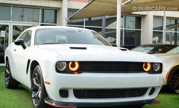 Buy Import Dodge Challenger White Car in Import - Dubai in Bumthang Buy Import Dodge Challenger White Car in Import - Dubai in Bumthang