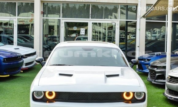 Buy Import Dodge Challenger White Car in Import - Dubai in Bumthang Buy Import Dodge Challenger White Car in Import - Dubai in Bumthang
