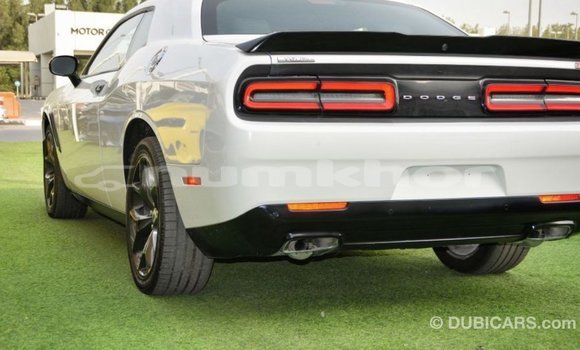 Buy Import Dodge Challenger White Car in Import - Dubai in Bumthang Buy Import Dodge Challenger White Car in Import - Dubai in Bumthang