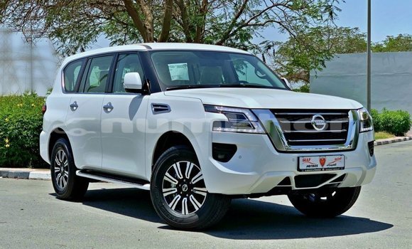 Buy Import Nissan Patrol White Car in Import - Dubai in Bumthang