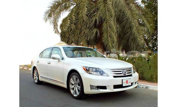 Buy Import Lexus LS White Car in Import - Dubai in Bumthang