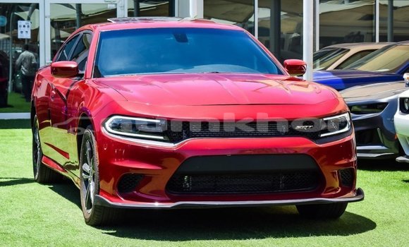 Buy Import Dodge Charger Red Car in Import - Dubai in Bumthang