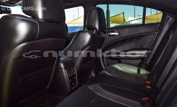 Buy Import Dodge Charger Red Car in Import - Dubai in Bumthang Buy Import Dodge Charger Red Car in Import - Dubai in Bumthang
