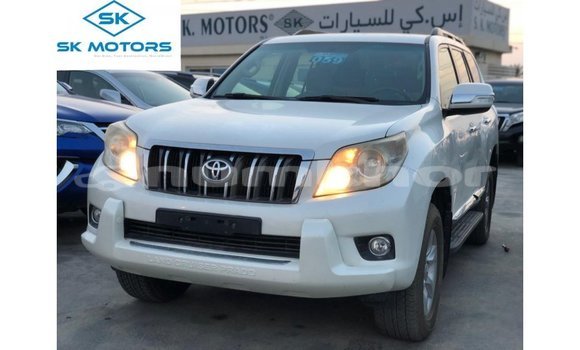 Buy Import Toyota Prado White Car in Import - Dubai in Bumthang