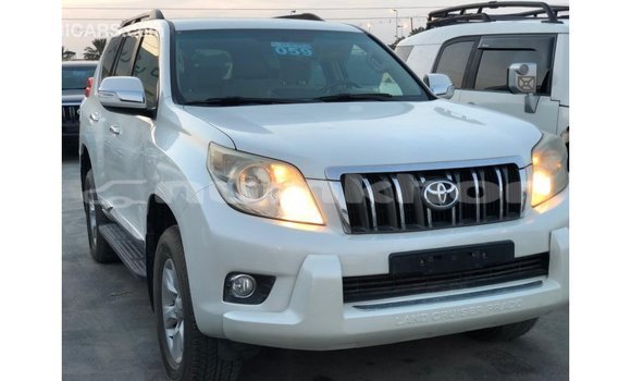 Buy Import Toyota Prado White Car in Import - Dubai in Bumthang Buy Import Toyota Prado White Car in Import - Dubai in Bumthang