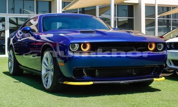 Buy Import Dodge Challenger Blue Car in Import - Dubai in Bumthang