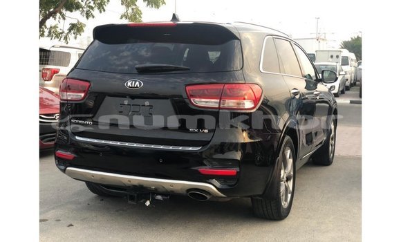 Buy Import Kia Sorento Black Car in Import - Dubai in Bumthang Buy Import Kia Sorento Black Car in Import - Dubai in Bumthang