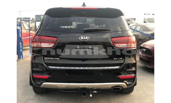 Buy Import Kia Sorento Black Car in Import - Dubai in Bumthang Buy Import Kia Sorento Black Car in Import - Dubai in Bumthang
