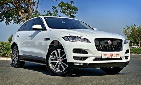 Buy Import Jaguar F-Pace White Car in Import - Dubai in Bumthang